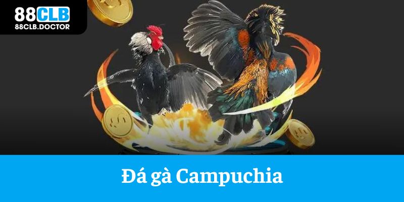 Đá gà Campuchia