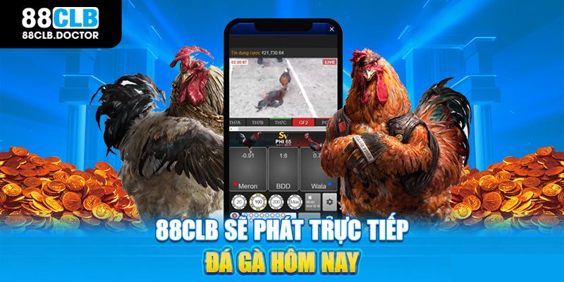 Sơ lược về chuyên mục đá gà 88CLB